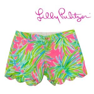 NWOT Lilly Pulitzer Palm Print Buttercup Shorts